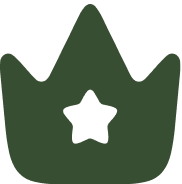 Premium icon