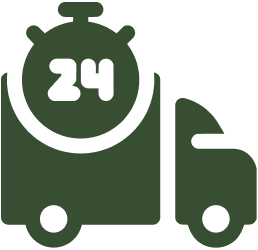 Same day delivery icon