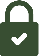 Secure icon